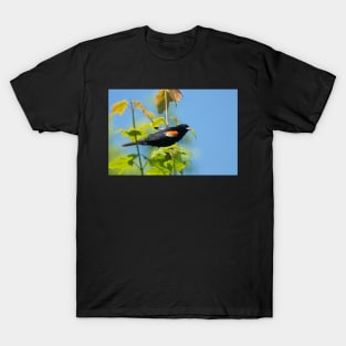 Handsome Devil T-Shirt